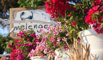 Melengeç Gümüşlük - Bodrum Meyhaneleri